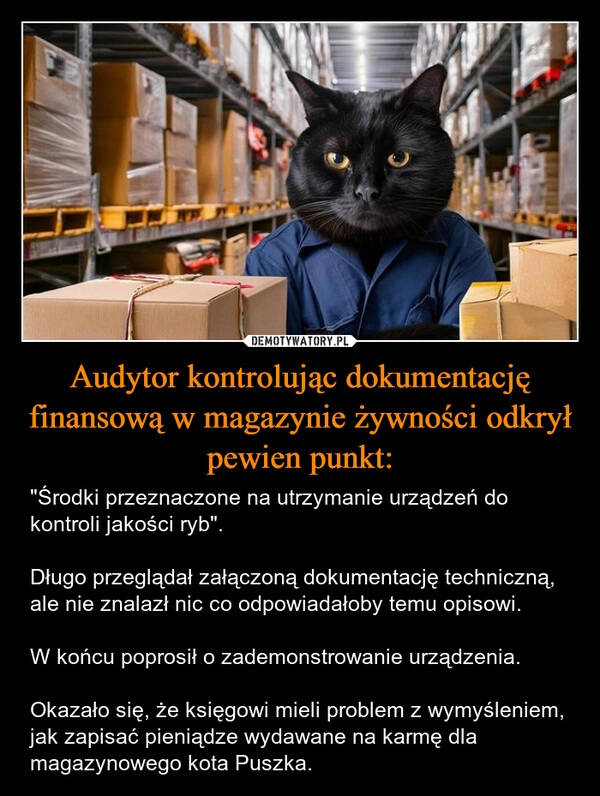 
    Audytor kontrolując dokumentację finansową w magazynie żywności odkrył pewien punkt: