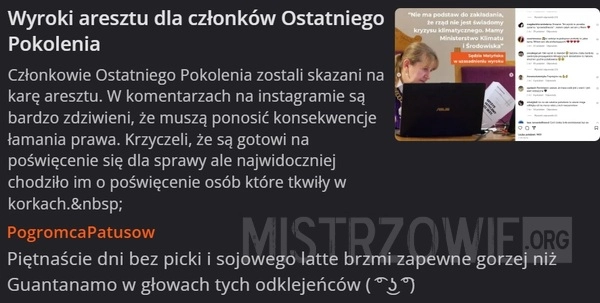 
    Wyroki
