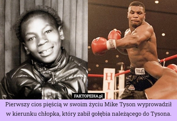 
    Pierwszy cios pięścią w swoim życiu Mike Tyson wyprowadził w kierunku chłopka,