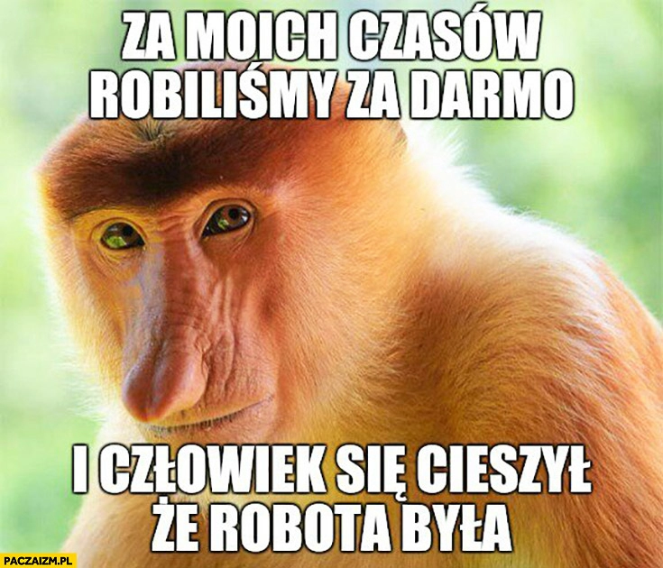 
    Za moich czasów robiliśmy za darmo i człowiek się cieszył, że robota była typowy Polak nosacz