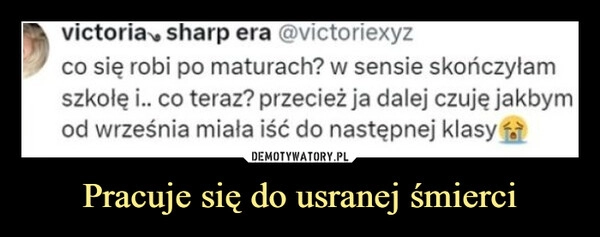 
    Pracuje się do usranej śmierci