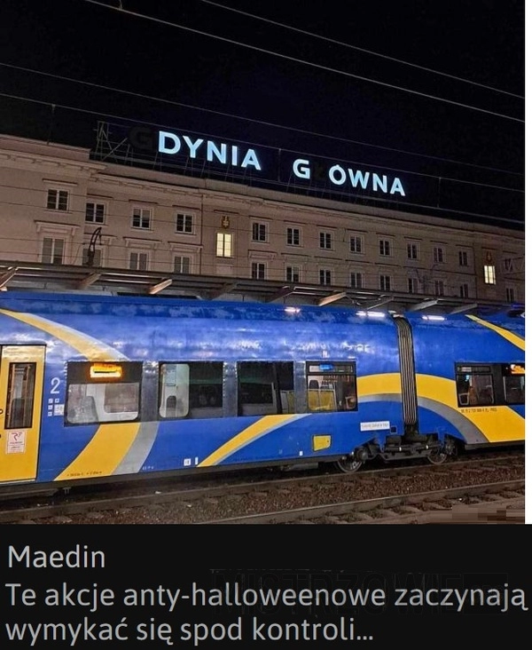 
    Dynia