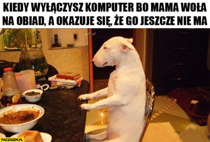 
    Kiedy wyłączysz komputer bo mama woła na obiad, a okazuje się, że go jeszcze nie ma smutny pies