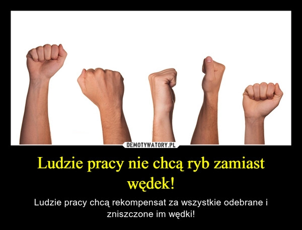 
    Ludzie pracy nie chcą ryb zamiast wędek!