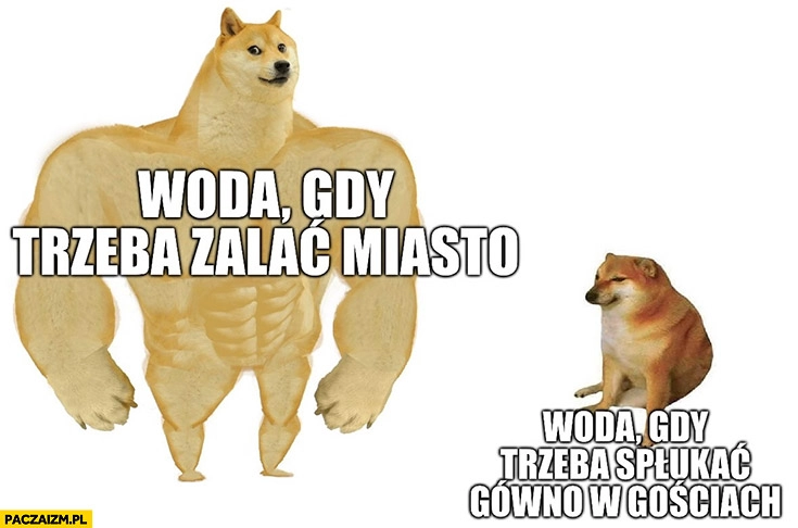 
    Woda gdy trzeba zalać miasto vs woda gdy trzeba spłukać gówno w gościach pies pieseł doge