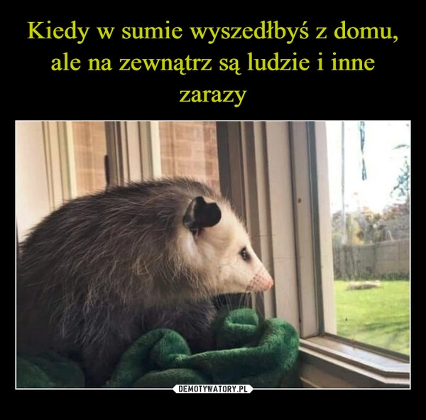 
    Kiedy w sumie wyszedłbyś z domu, ale na zewnątrz są ludzie i inne zarazy