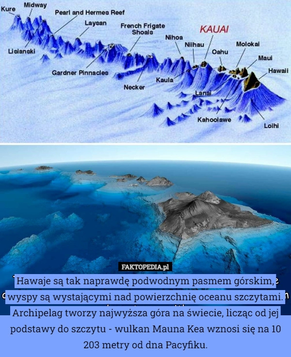 
    Hawaje są tak naprawdę podwodnym pasmem górskim, wyspy są wystającymi nad