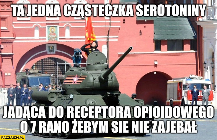 
    Rosyjska defilada jedyny czołg ta jedna cząsteczka serotoniny jadąca do receptora o 7 rano żebym się nie zajechał