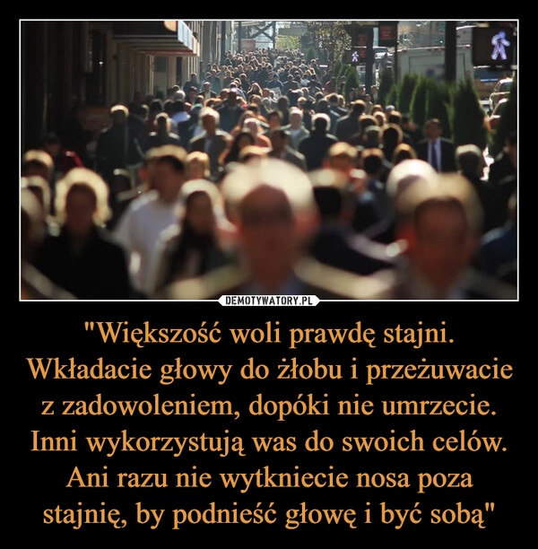 
    "Większość woli prawdę stajni. Wkładacie głowy do żłobu i przeżuwacie z zadowoleniem, dopóki nie umrzecie. Inni wykorzystują was do swoich celów. Ani razu nie wytkniecie nosa poza stajnię, by podnieść głowę i być sobą"