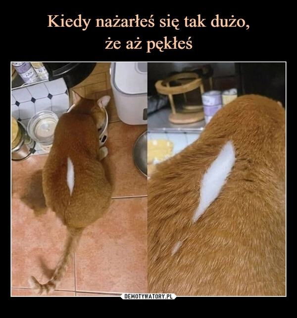 
    Kiedy nażarłeś się tak dużo,
że aż pękłeś