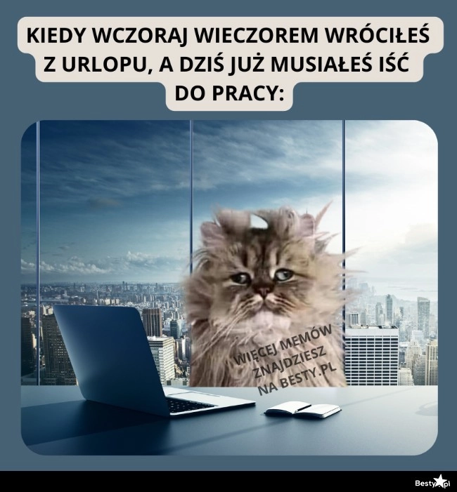 
    Przydałoby się jeszcze kilka dni urlopu 