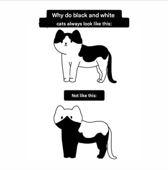 
    Or vertically divided?