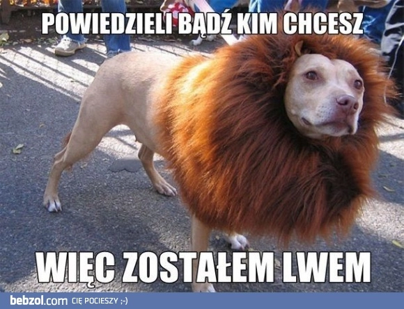 
    Bądź kim chcesz