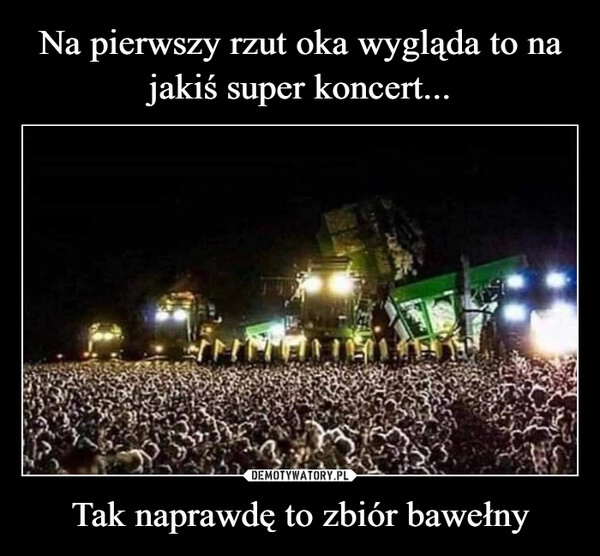 
    Na pierwszy rzut oka wygląda to na jakiś super koncert... Tak naprawdę to zbiór bawełny