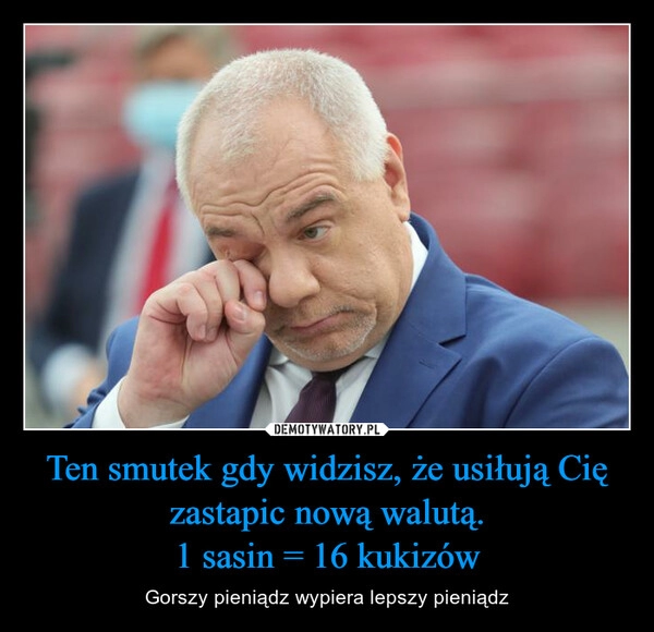 
    Ten smutek gdy widzisz, że usiłują Cię zastapic nową walutą.
1 sasin = 16 kukizów