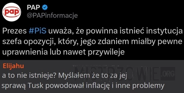 
    Szef opozycji