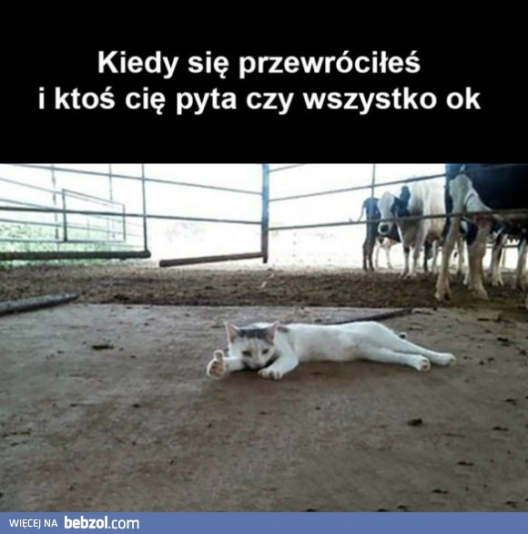 Wszystko ok 