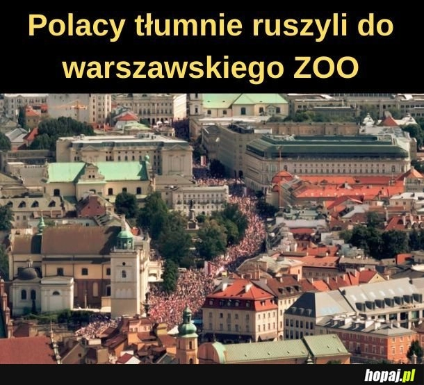 
    Zwiedzanie ZOO. 