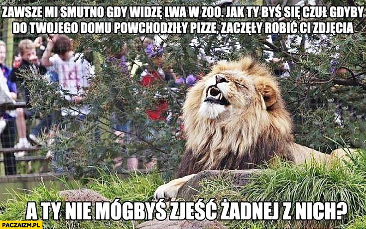 
    Zawsze mi smutno gdy widzę lwa w zoo, jak ty byś się czuł gdyby do Twojego domu powchodziły pizze, zaczęły Ci robić zdjęcia a Ty nie mógłbyś zjeść żadnej z nich