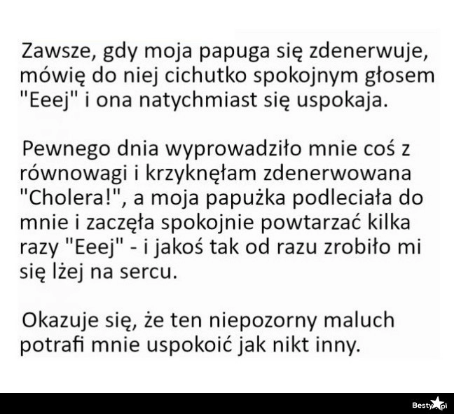 
    Mądra papuga 