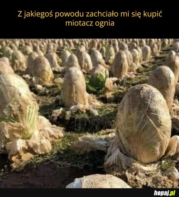 
    Tak jakoś