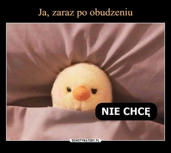 
    Ja, zaraz po obudzeniu