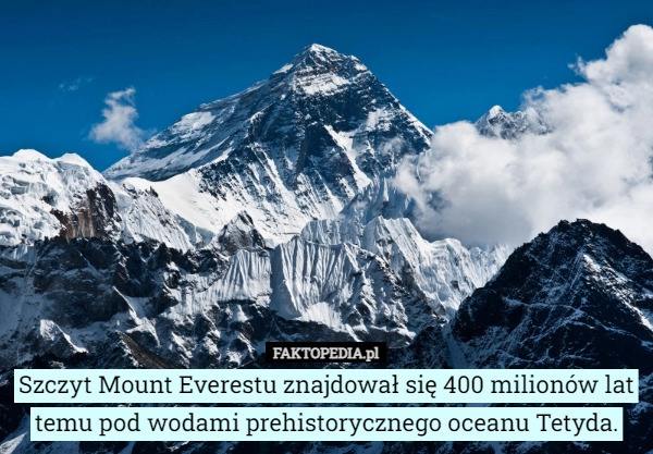 
    
			Szczyt Mount Everestu znajdował się 400 milionów lat temu pod wodami prehistorycznego...					