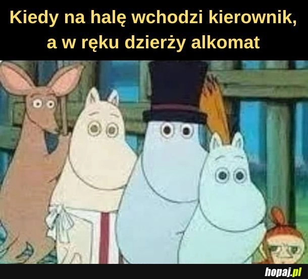 
    Kierownik. 