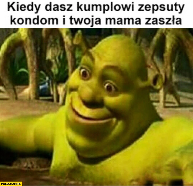 
    Kiedy dasz kumplowi zepsuty kondom i Twoja mama zaszła Shrek