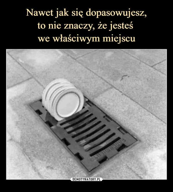 
    Nawet jak się dopasowujesz,
to nie znaczy, że jesteś 
we właściwym miejscu