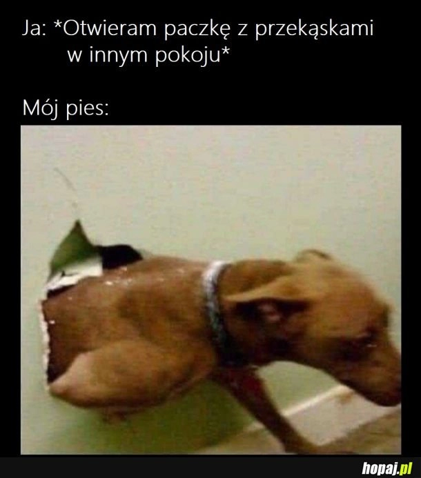 
    Podzielisz się?