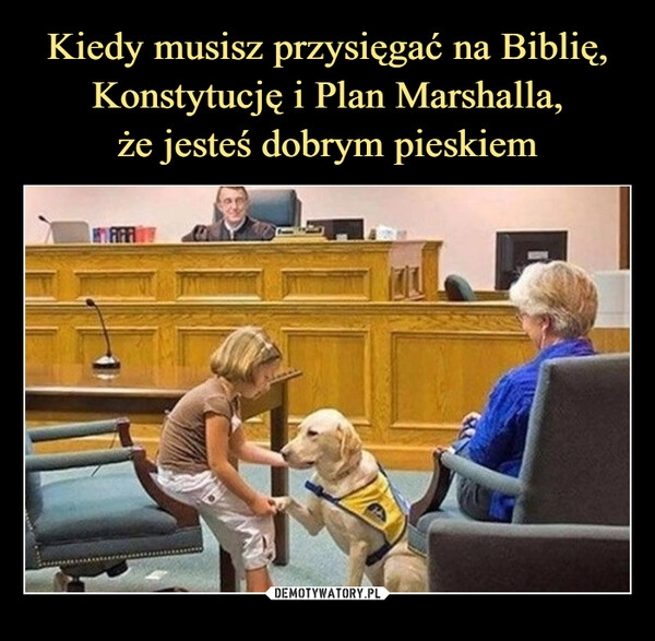 
    Kiedy musisz przysięgać na Biblię, Konstytucję i Plan Marshalla,
że jesteś dobrym pieskiem