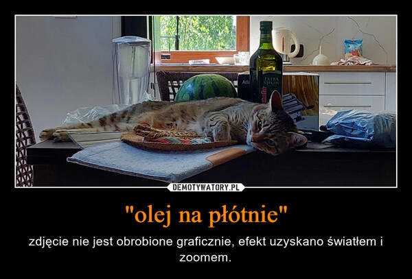 
    "olej na płótnie"