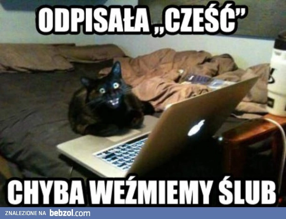 
    Panowie, jest dobrze!