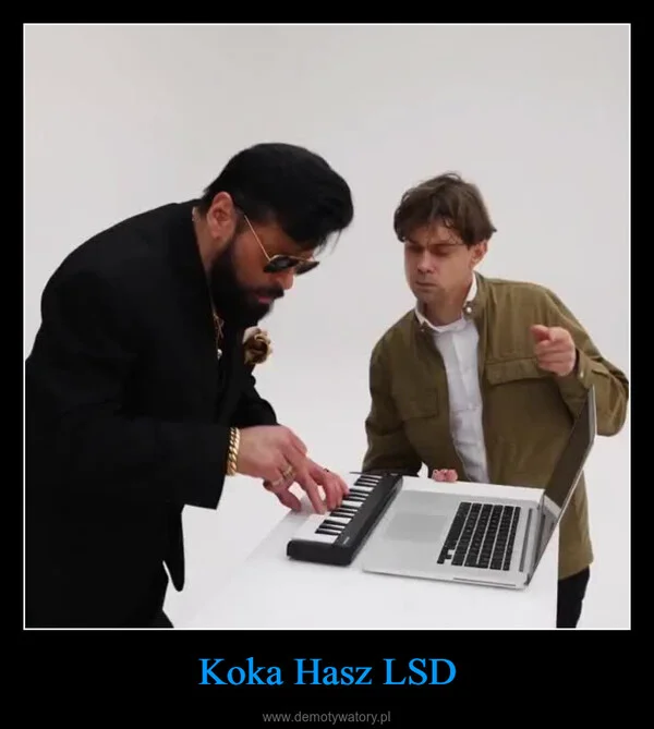 
    Koka Hasz LSD