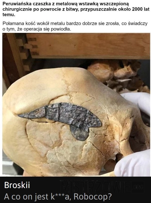 
    Czaszka