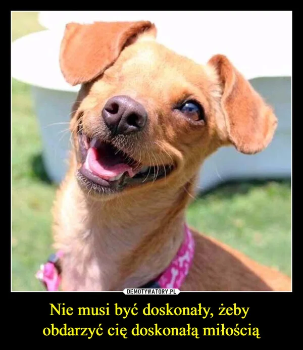 
    Nie musi być doskonały, żeby obdarzyć cię doskonałą miłością