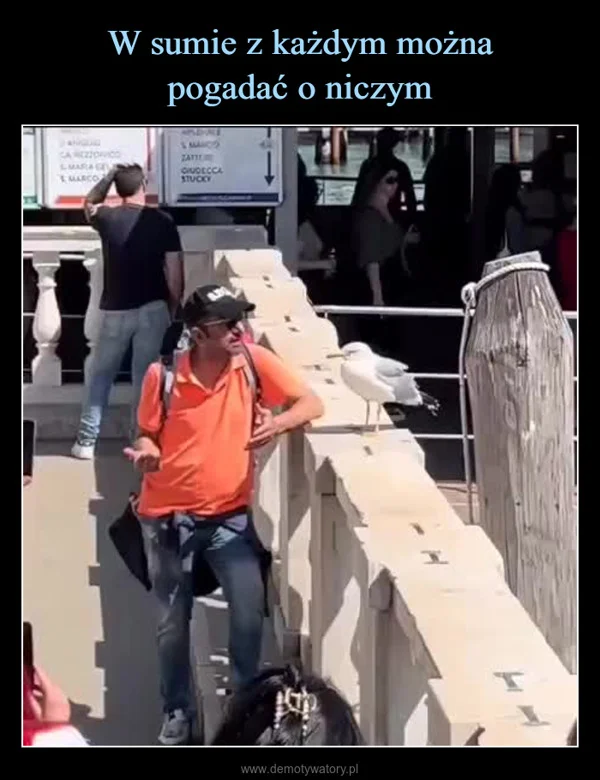 
    W sumie z każdym można pogadać o niczym
