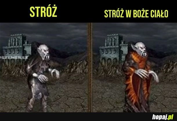 
    Stróż w Boze Ciało