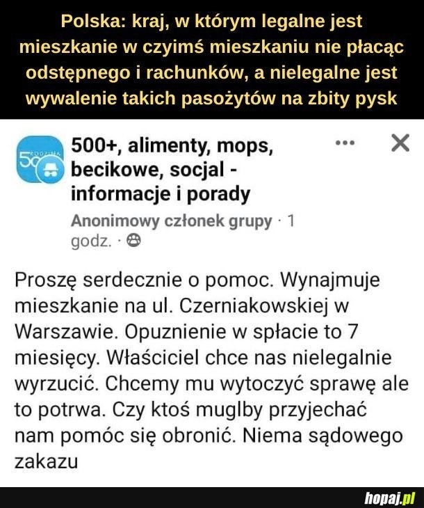 
    Mieszkanie.