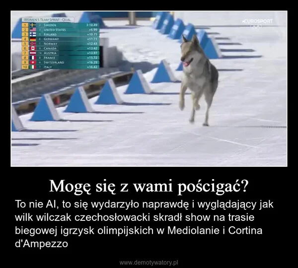 
    Mogę się z wami pościgać?