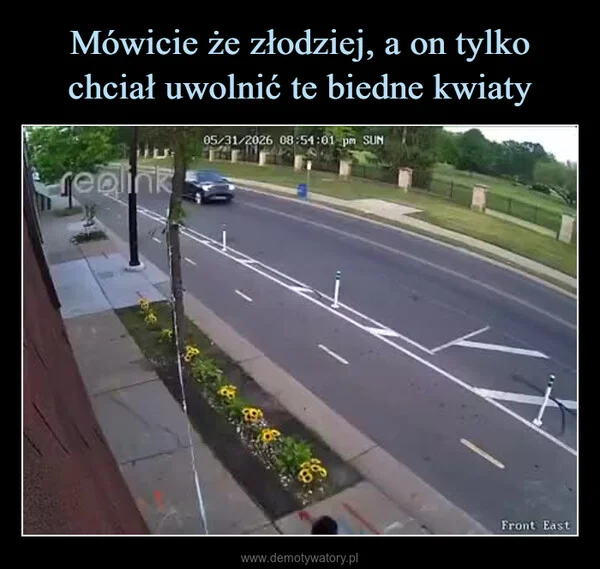 Mówicie że złodziej, a on tylko chciał uwolnić te biedne kwiaty