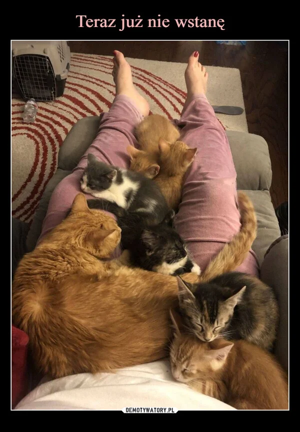 Teraz już nie wstanę