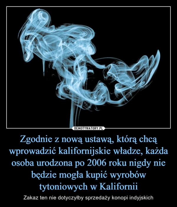 
    Zgodnie z nową ustawą, którą chcą wprowadzić kalifornijskie władze, każda osoba urodzona po 2006 roku nigdy nie będzie mogła kupić wyrobów tytoniowych w Kalifornii