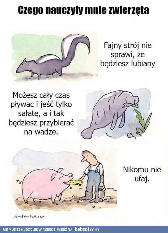 
    Czego nauczyły mnie zwierzęta 