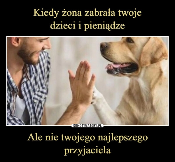 
    Kiedy żona zabrała twoje
dzieci i pieniądze Ale nie twojego najlepszego przyjaciela