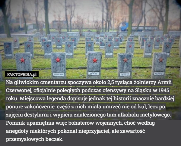 
    Na gliwickim cmentarzu spoczywa około 2,5 tysiąca żołnierzy Armii Czerwonej,