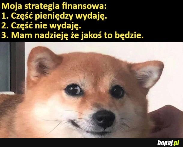 
    Moja strategia finansowa