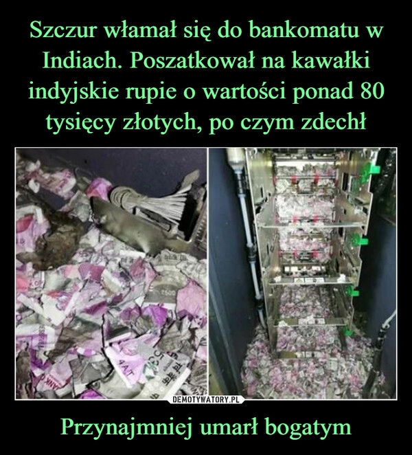 
    Szczur włamał się do bankomatu w Indiach. Poszatkował na kawałki indyjskie rupie o wartości ponad 80 tysięcy złotych, po czym zdechł Przynajmniej umarł bogatym