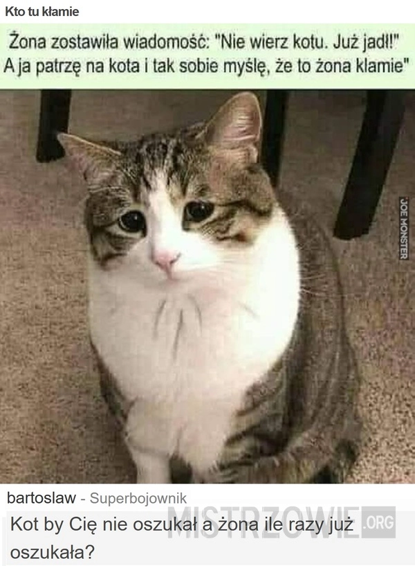 
    Kto tu kłamie